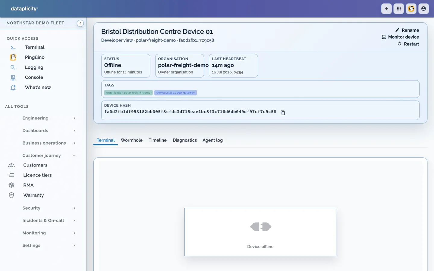 Dataplicity device workspace with Terminal, Wormhole, Timeline, and Diagnostics tabs